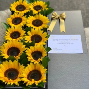 Caja de girasoles