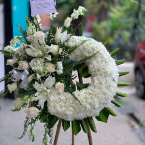 Musa 078