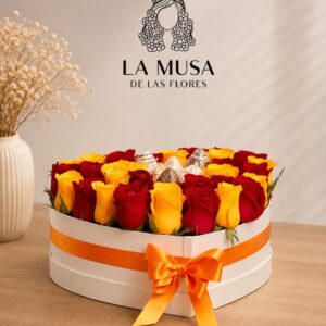Musa 089