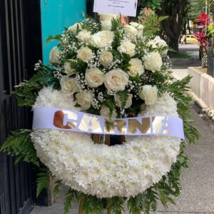 Musa 079